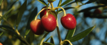 Captura de pantalla 2016-02-23 a las 23.26.59