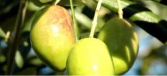 Captura de pantalla 2016-02-23 a las 23.28.35