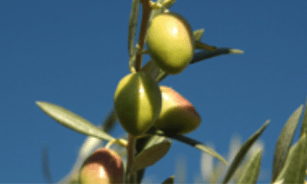 Captura de pantalla 2016-02-23 a las 23.34.57