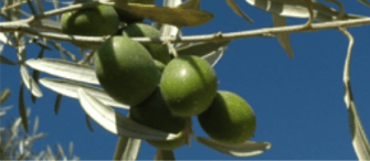 Captura de pantalla 2016-02-23 a las 23.48.53